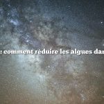 Question : comment réduire les algues dans l’étang